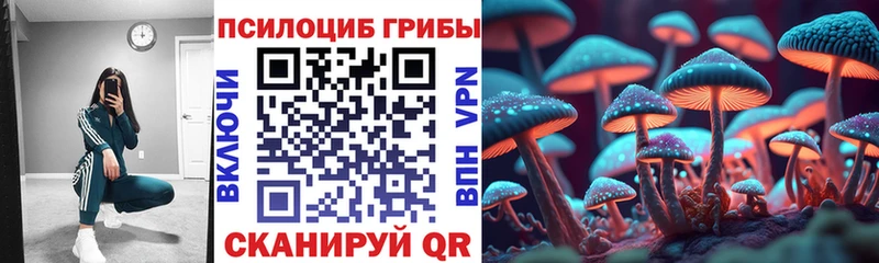 Галлюциногенные грибы Psilocybe  Буинск 