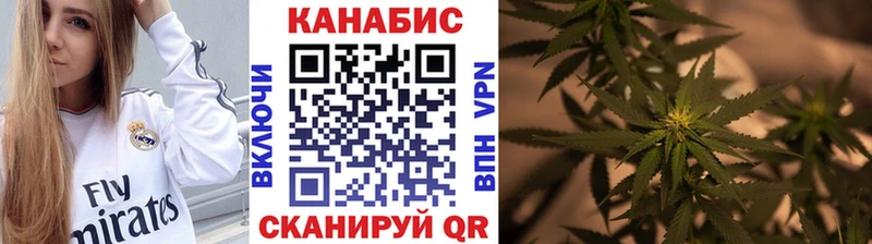 Каннабис планчик  наркотики  Буинск 